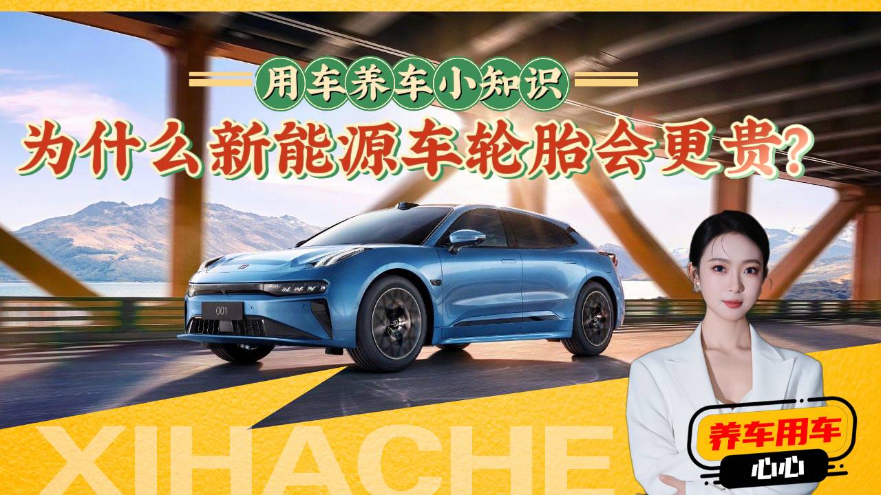 新能源汽车知识普及,为什么新能源车的轮胎贵?和燃油车区别在哪