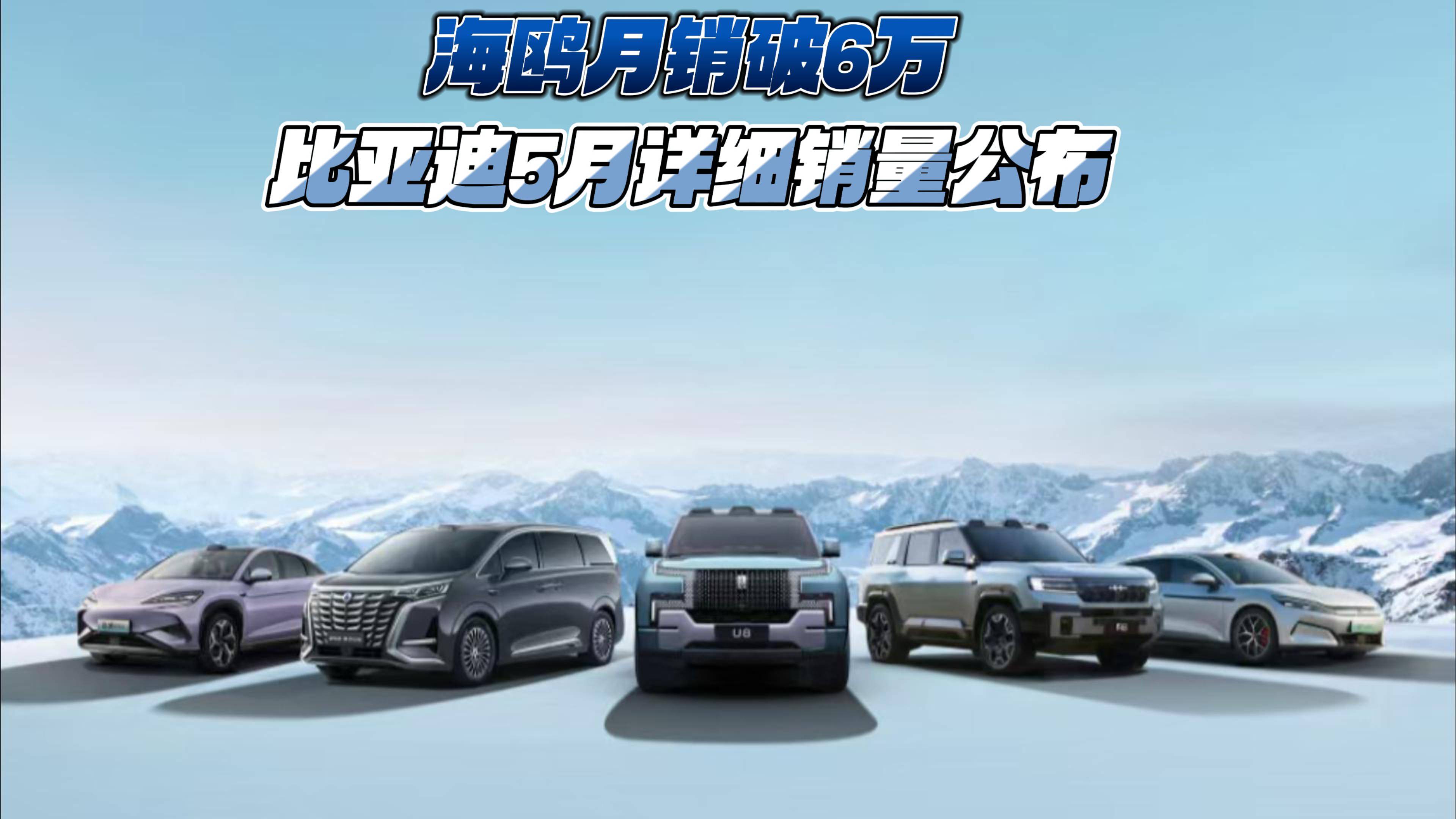 海鸥月销破6万 比亚迪5月详细销量公布