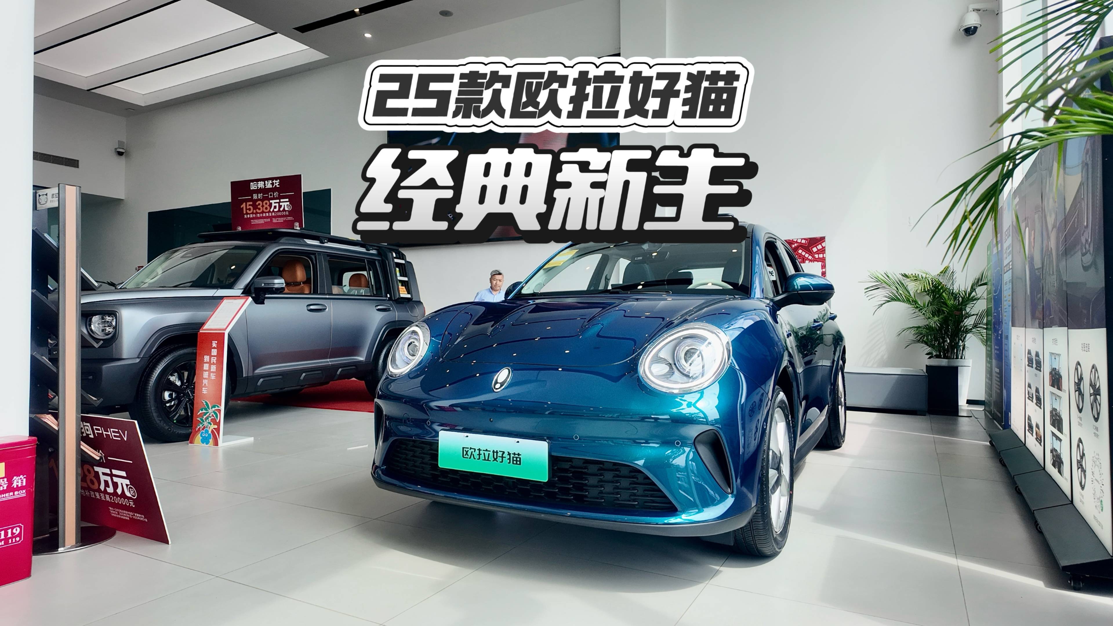 经典新生，25款欧拉好猫要来啦！