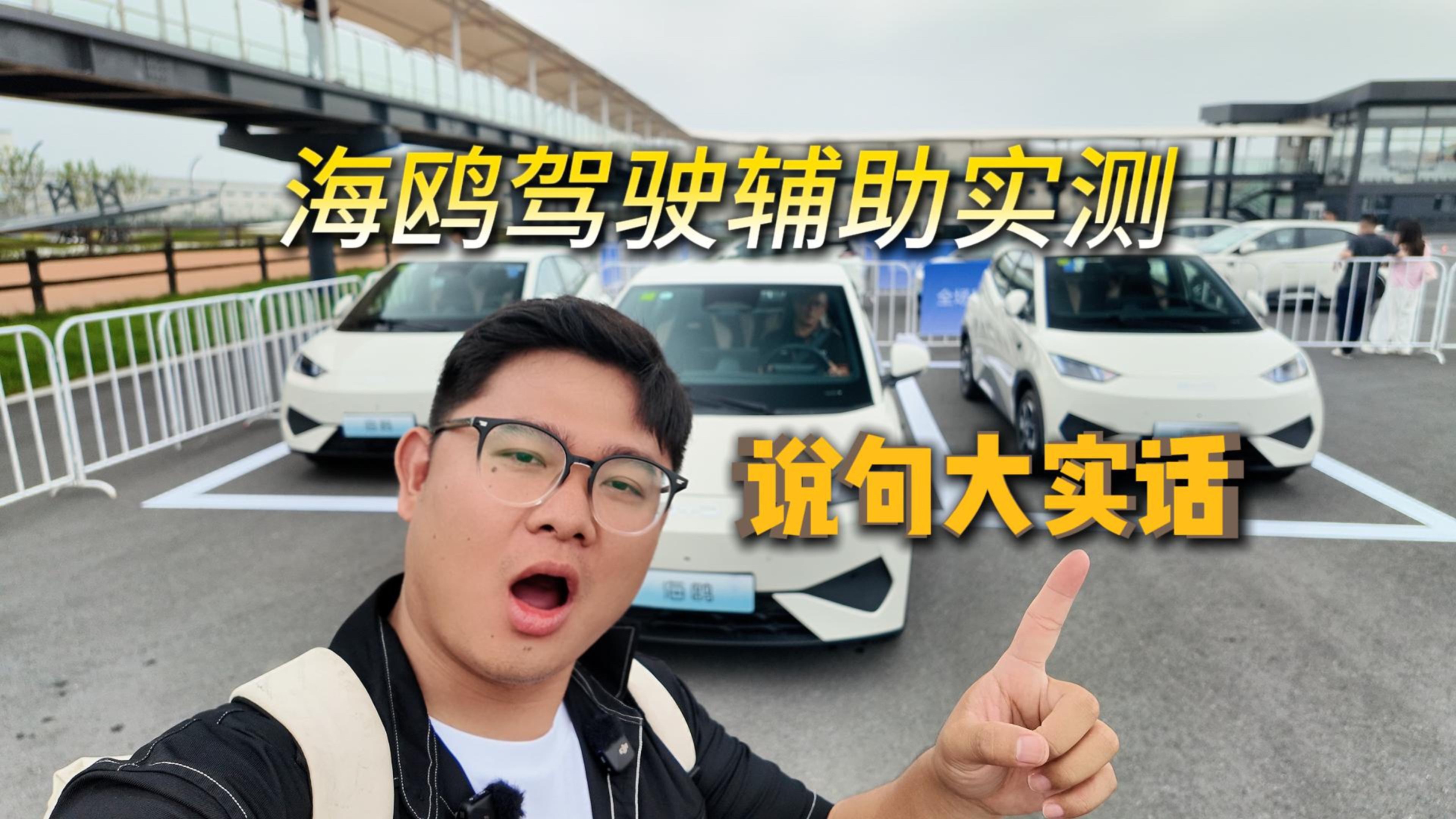 不到6万配驾驶辅助，海鸥是真领先还是效率杀手？